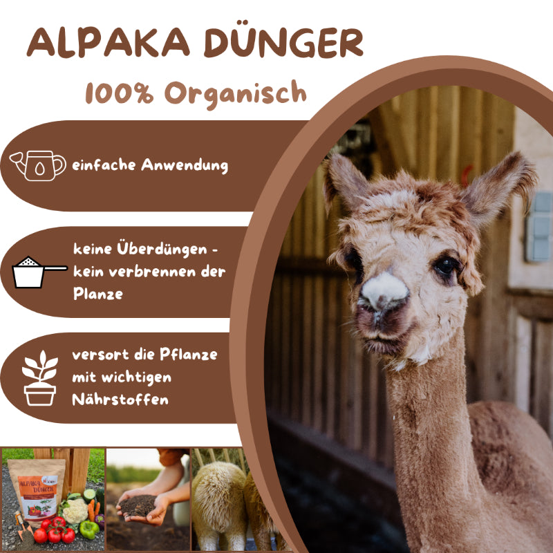 Alpaka Dünger-Organischer Naturdünger