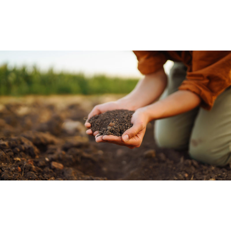 Alpaka Dünger-Organischer Naturdünger