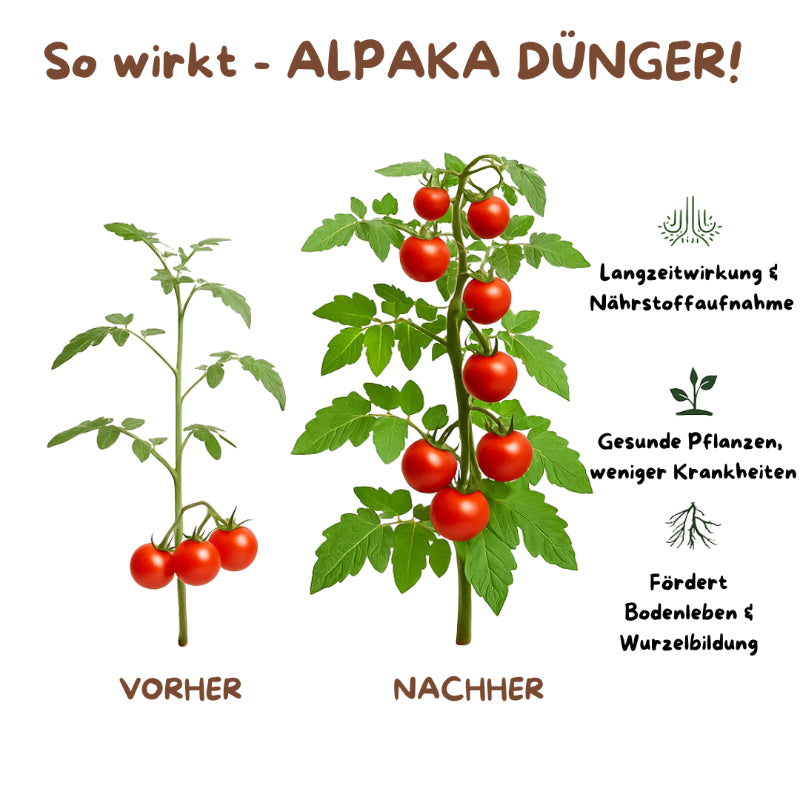 Alpaka Dünger-Organischer Naturdünger