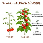 Alpaka Dünger-Organischer Naturdünger